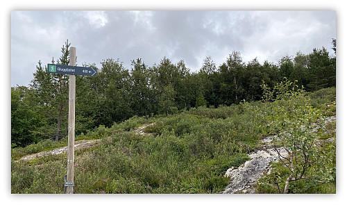 Merket fra lysløypa.