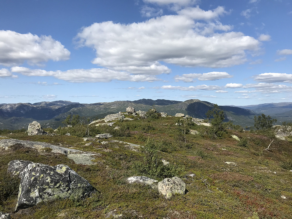 På Trydalsfjellet