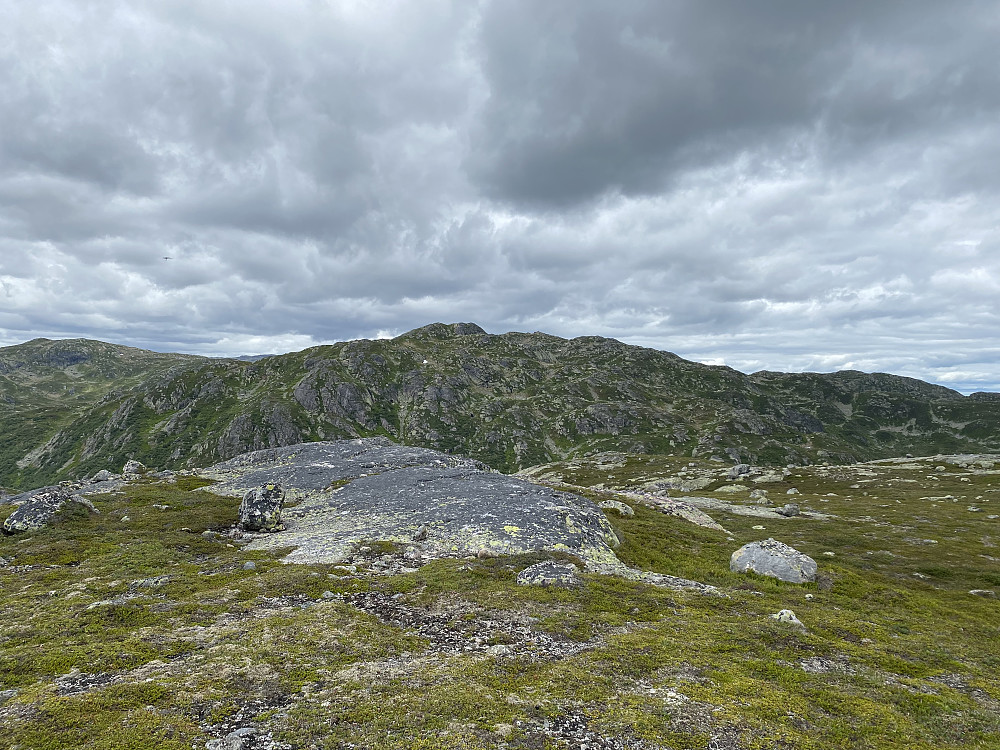 Toppen, Napuren i bakgrunnen