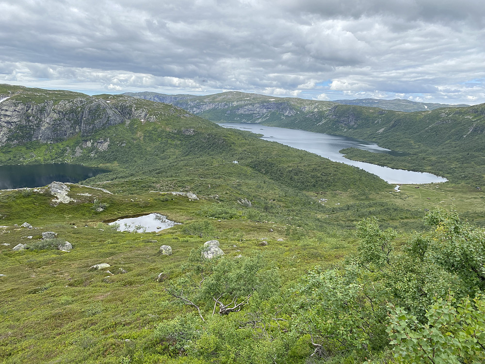 Fitbekvannet