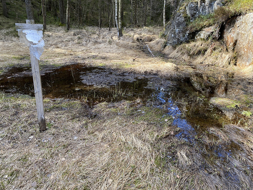 Blaut myrhål. Her risikerte løperne å gå i til opp under armene. Men pga HMS hensyn er det nå lager bru.