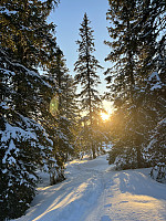 Øydis52_20230317_64142c3728eaa.jpeg