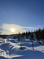 Øydis52_20230317_64142c4756da4.jpeg