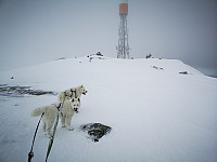 hjelmeland_20230805_64ce1ae0b626e.jpg