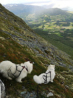 hjelmeland_20230805_64ce2a46555aa.jpg