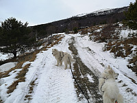 hjelmeland_20230805_64ce64d76bcda.jpg