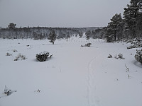 hjelmeland_20230805_64ce6bf08d389.jpg