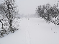 hjelmeland_20230806_64ced20fde02a.jpg