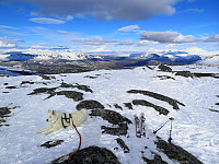 hjelmeland_20230806_64cf61ac2bfd2.jpg