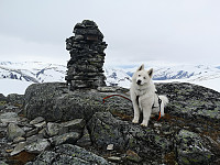 hjelmeland_20230806_64cf631c633ea.jpg