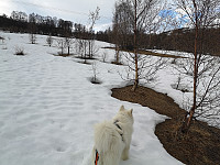 hjelmeland_20230806_64cf63f0d4c5d.jpg