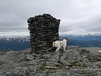 hjelmeland_20230806_64cfcd0639a20.jpg