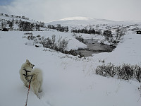 hjelmeland_20230807_64d157271f14d.jpg