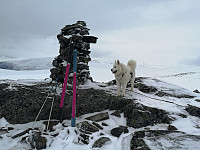 hjelmeland_20230807_64d158c550afa.jpg