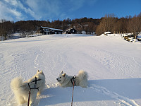 hjelmeland_20230810_64d53e029308c.jpg