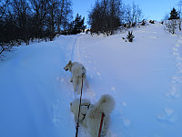 hjelmeland_20230810_64d53e05949b1.jpg