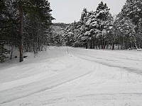 hjelmeland_20230810_64d54171406da.jpg