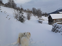 hjelmeland_20230810_64d54172c5f72.jpg