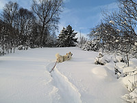 hjelmeland_20230810_64d541759a299.jpg