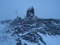 hjelmeland_20230810_64d542d030053.jpg