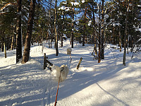 hjelmeland_20230810_64d544ff7de14.jpg