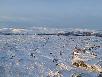 hjelmeland_20230810_64d5450684822.jpg