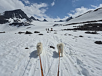 hjelmeland_20240531_6658faeebb9c7.jpg