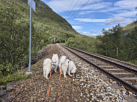 hjelmeland_20240819_66c3b1bbe8855.jpg