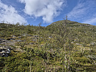 hjelmeland_20240819_66c3b1be115ba.jpg