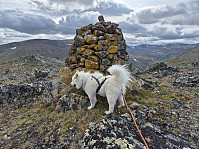 hjelmeland_20240819_66c3b1c226581.jpg