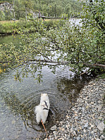 hjelmeland_20240819_66c3b1ccd34ae.jpg