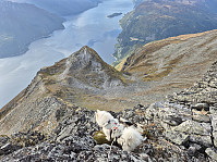 hjelmeland_20240928_66f868b98398b.jpg