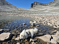 hjelmeland_20240928_66f86cd10c8f9.jpg