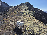 hjelmeland_20240928_66f86cd5159c3.jpg