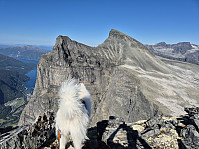 hjelmeland_20240928_66f86cd723440.jpg