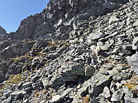 hjelmeland_20240928_66f86cd919589.jpg