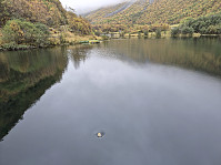 hjelmeland_20240928_66f87593a0d11.jpg