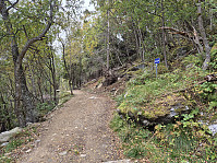 hjelmeland_20240928_66f87612de972.jpg
