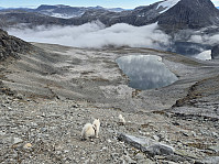 hjelmeland_20240928_66f878f7e7441.jpg