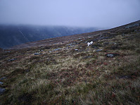 hjelmeland_20240928_66f879045a70c.jpg