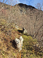 hjelmeland_20241027_671ea063ee798.jpg