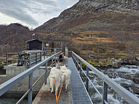 hjelmeland_20241027_671ea068ada74.jpg
