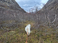 hjelmeland_20241027_671ea06d327e5.jpg