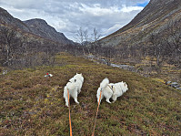 hjelmeland_20241027_671ea06f853f7.jpg