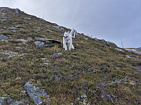 hjelmeland_20241027_671ea073ba622.jpg
