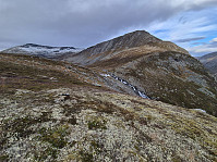 hjelmeland_20241027_671ea077cac3b.jpg