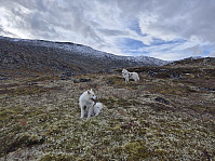 hjelmeland_20241027_671ea07a0a478.jpg