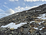hjelmeland_20241027_671ea0801e3e5.jpg
