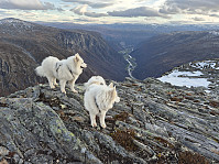 hjelmeland_20241027_671ea08220d32.jpg