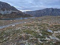 hjelmeland_20241027_671ea08fafdb6.jpg